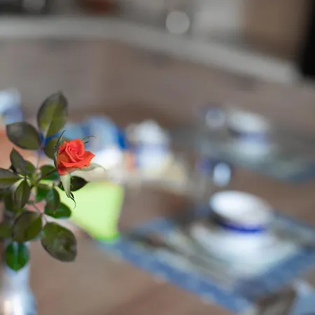 Binario 9 3/4 Villafranca Piemonte