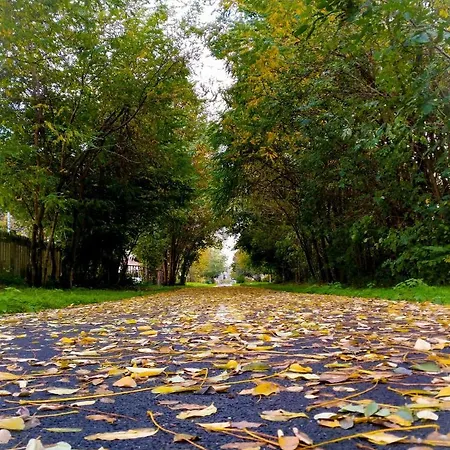 Bed & Breakfast Binario 9 3/4