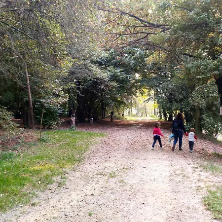 Binario 9 3/4 3* Villafranca Piemonte